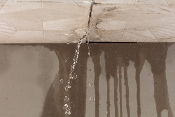 Professional Structural Drying technician working in Boyd, TX